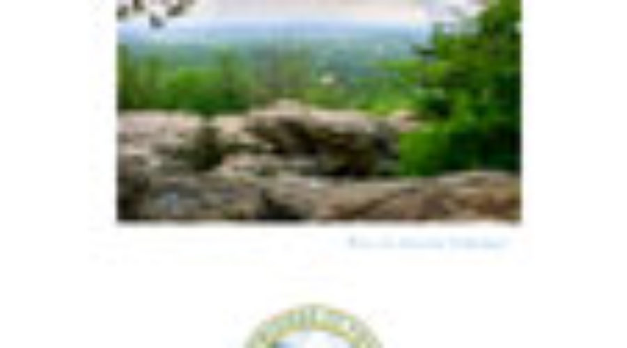 2012/2013 Annual Report