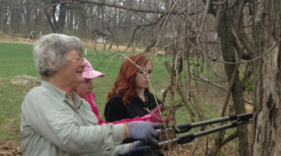 SPRING CLEAN UP PARTY at Blue Ridge Regional Park
