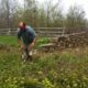 <em>Friends’</em> Stewardship Volunteer Day:  Friday, May 1st