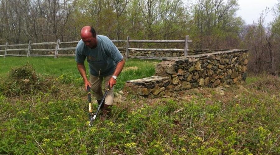 <em>Friends’</em> Stewardship Volunteer Day:  Friday, May 1st