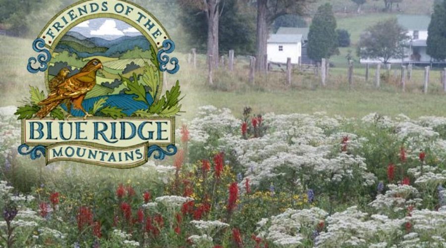 The Importance of Stewarding Our Mountains