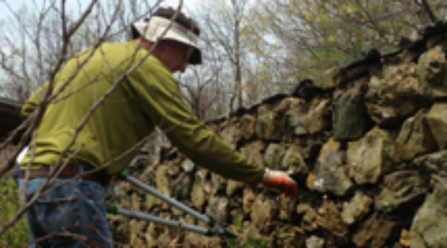 Volunteer Day, October 24 – Blue Ridge Regional Park