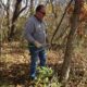 Volunteer Day: Blue Ridge Regional Park