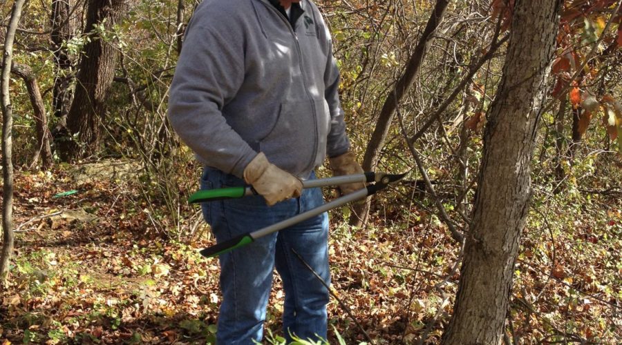 Volunteer Day: Blue Ridge Regional Park