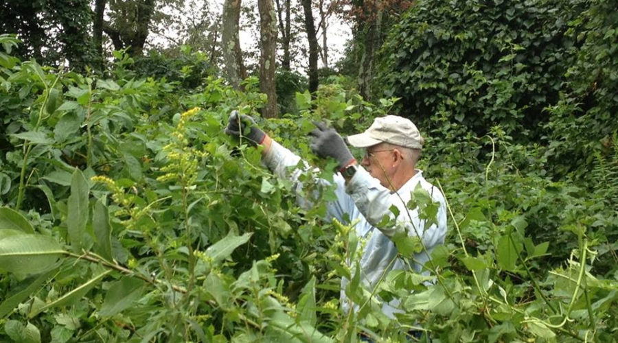 Autumn 2015 Volunteer Day