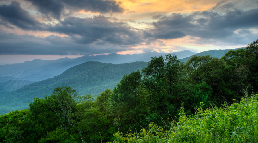 Check out this video from our friends at Piedmont Environmental Council, featuring our neighbor, Robert Duvall!