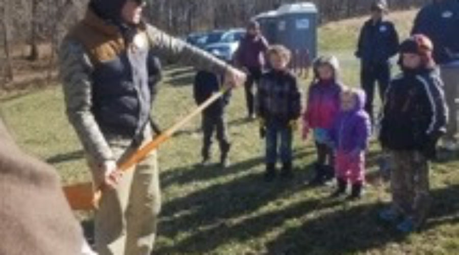 A Wonderful Day at the Park