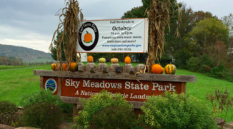 Happenings Around the Mountain – October 16, 2021