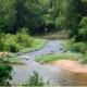 Happenings Around the Blue Ridge January 25, 2022