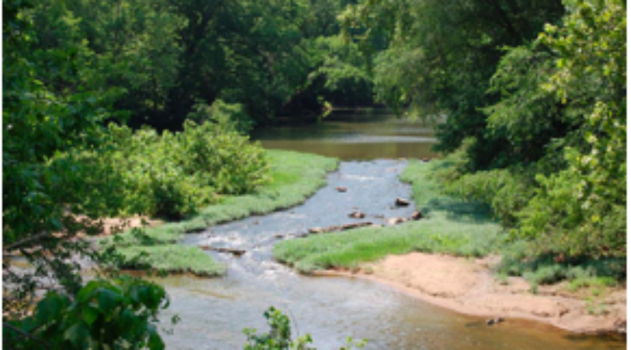 Happenings Around the Blue Ridge January 25, 2022