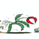 Happenings Around the Blue Ridge February 24, 2022