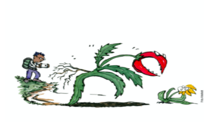 Happenings Around the Blue Ridge February 24, 2022