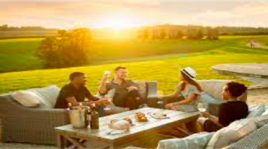 Wine Drinkers Support Friends of the Blue Ridge Mountains