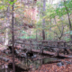 The Blue Ridge Mountains: A friend at risk – published in Loudoun Now November 2022