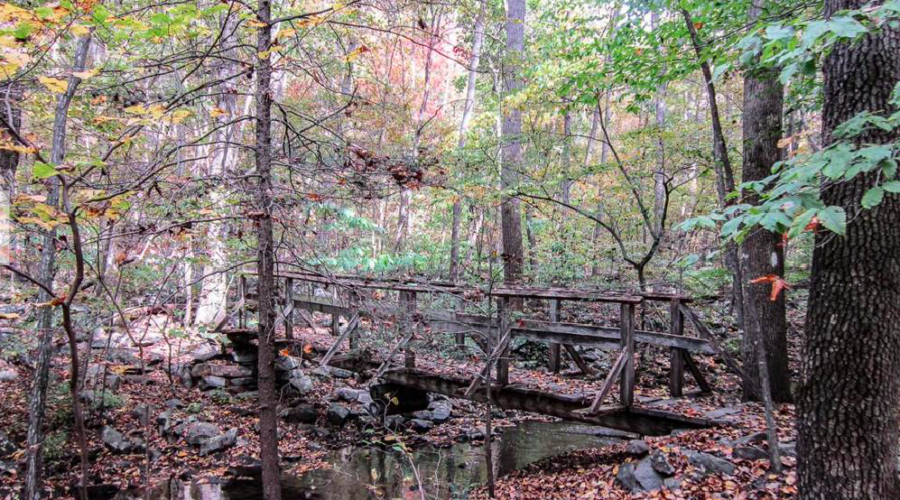The Blue Ridge Mountains: A friend at risk – published in Loudoun Now November 2022