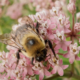 Happenings Around the Blue Ridge – February 2, 2023