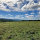 Happenings Around the Blue Ridge – February 16, 2023