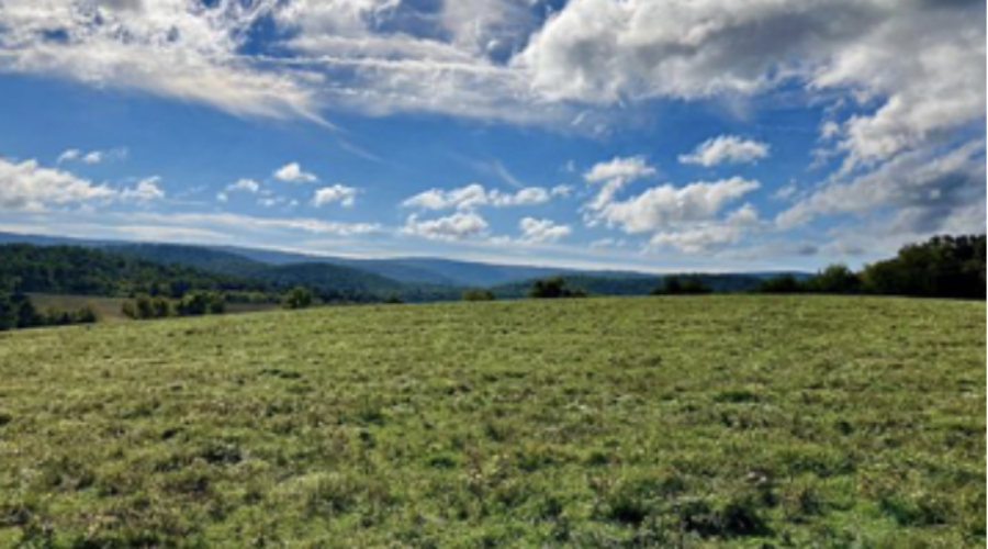 Happenings Around the Blue Ridge – February 16, 2023