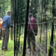 Happenings Around the Blue Ridge – July 6, 2023