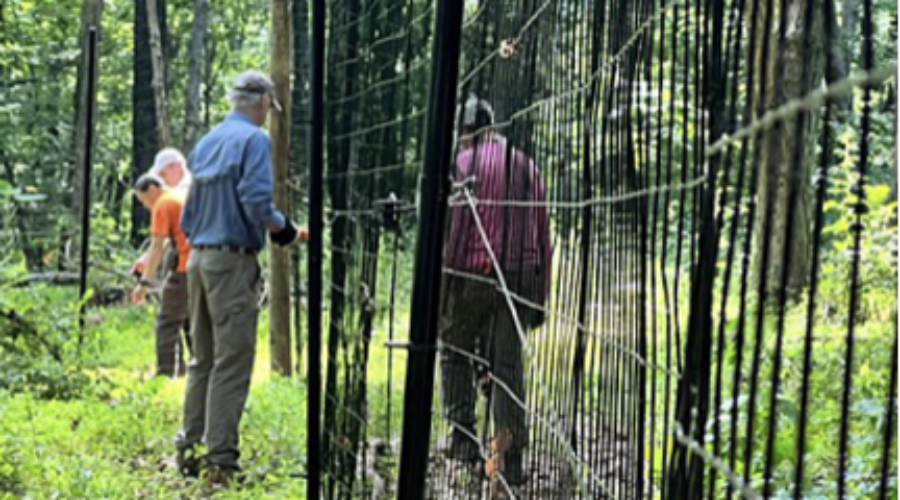 Happenings Around the Blue Ridge – July 6, 2023