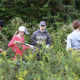 Happenings Around the Blue Ridge – August 17, 2023