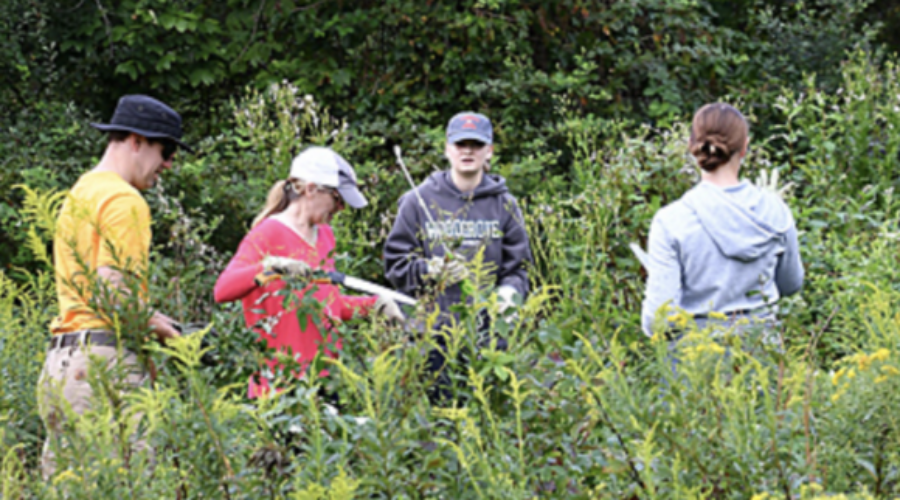 Happenings Around the Blue Ridge – August 17, 2023