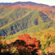 Happenings Around the Blue Ridge – November 2, 2023