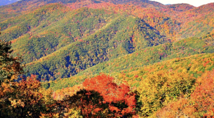 Happenings Around the Blue Ridge – November 2, 2023