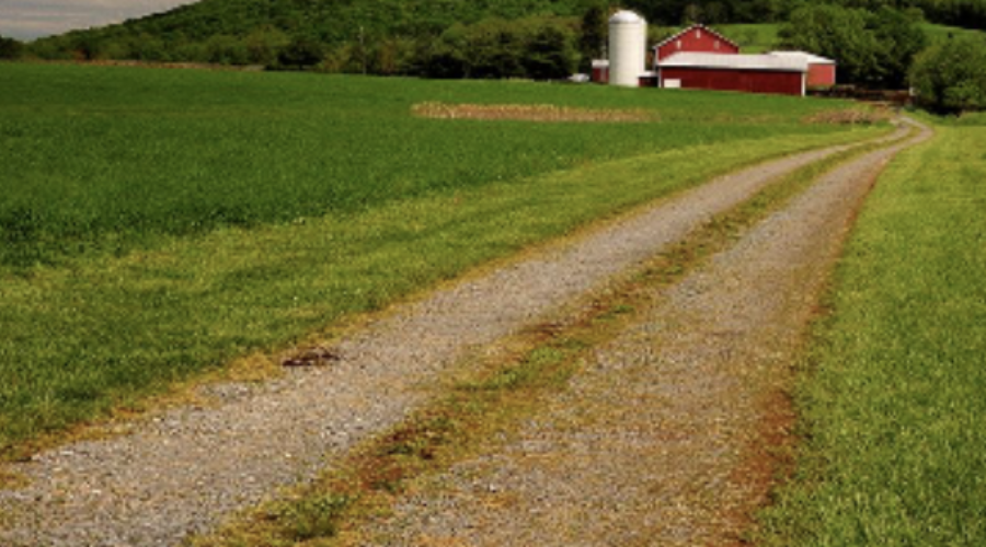 Happenings Around the Blue Ridge – February 23, 2024