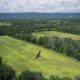 Happenings Around the Blue Ridge – March 21, 2024