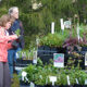 April 5 – Loudoun Wildlife Conservancy Native Plant Sale