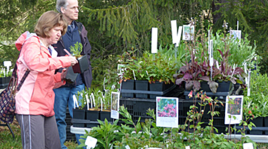 April 5 – Loudoun Wildlife Conservancy Native Plant Sale